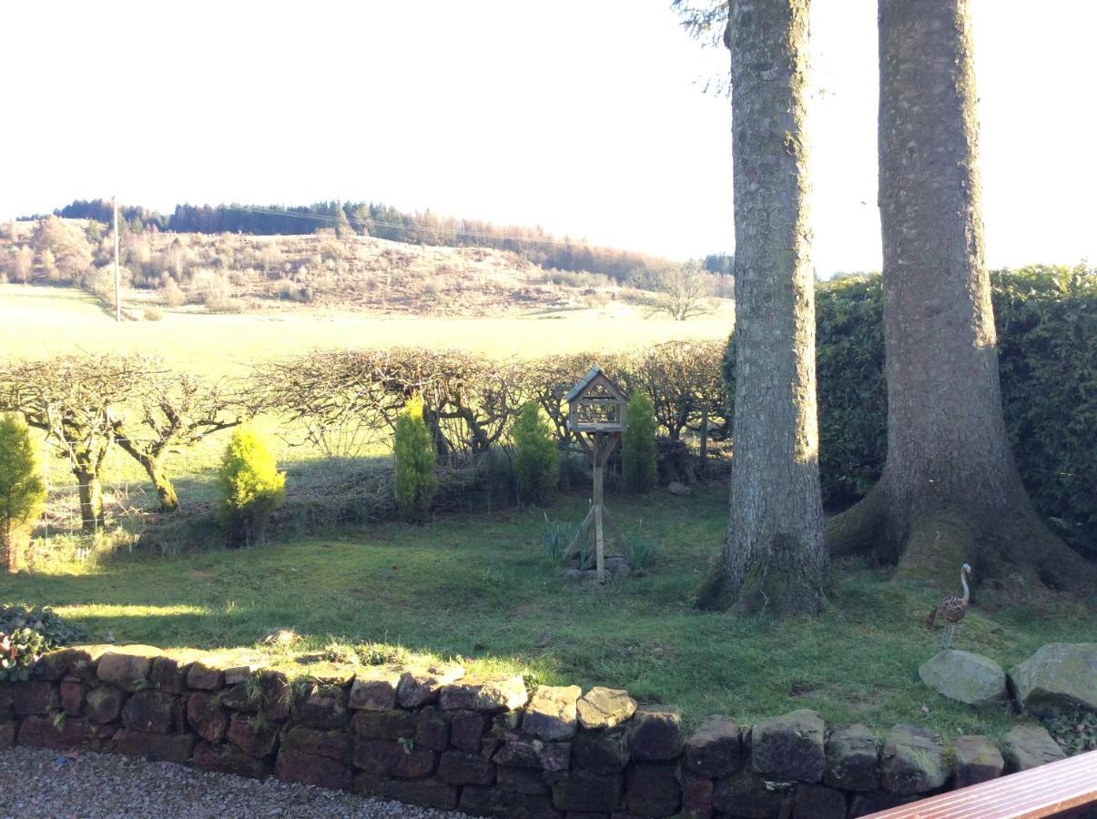 Heron Lodge, Edge Of Mabie Forest Dumfries Exterior photo